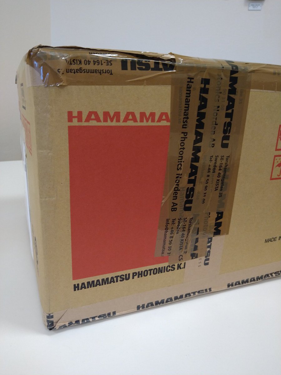 Sviatlana Shashkova tweet media