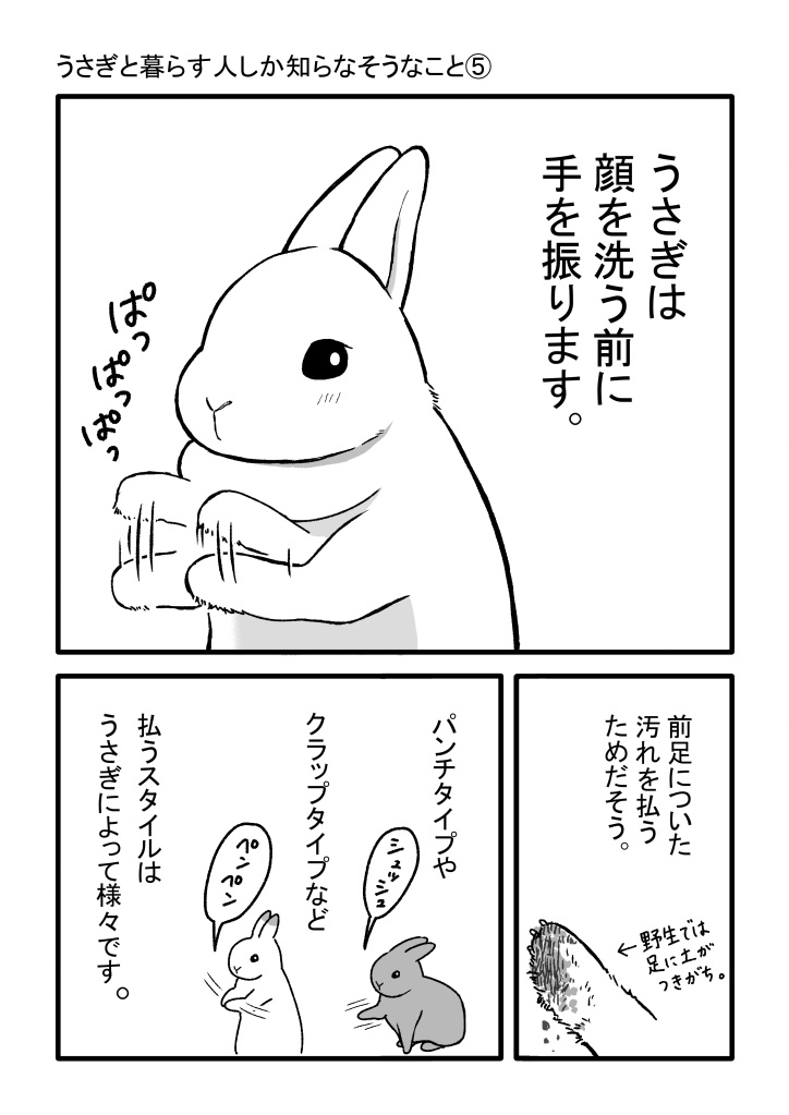 #今月描いた絵を晒そう 
#漫画が読めるハッシュタグ 

うさぎさんの話も増えてきました🐇 