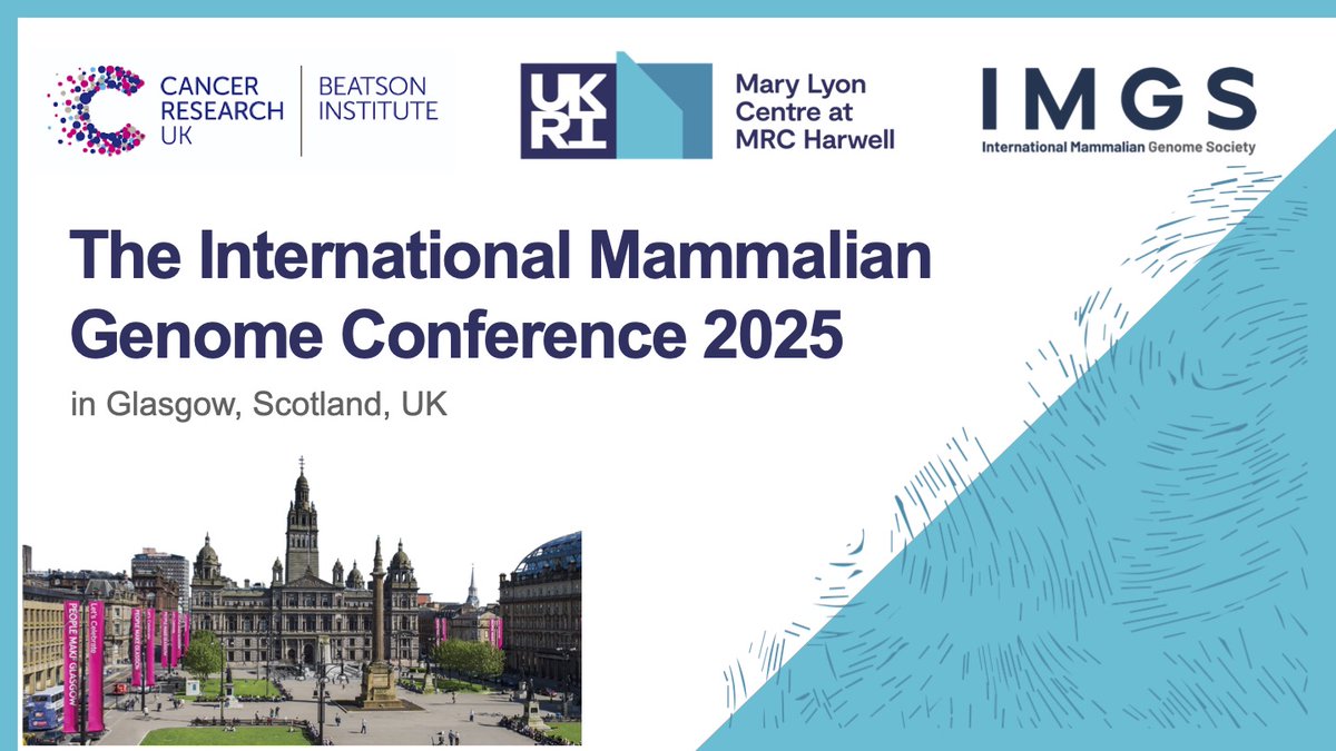 It's official! We will be hosting the 2025 IMGC with <a href="/MRCHarwell/">Mary Lyon Centre at MRC Harwell</a> @CRUK_BI and <a href="/IMGS_news/">Mammalian Genome Soc</a> in Glasgow. Thanks everyone for putting together a wonderful bid and presenting to the <a href="/IMGC2023_sec/">IMGC2023</a>. We are very excited to have you in the UK. #mousegenetics #mammaliangenetics #genetics