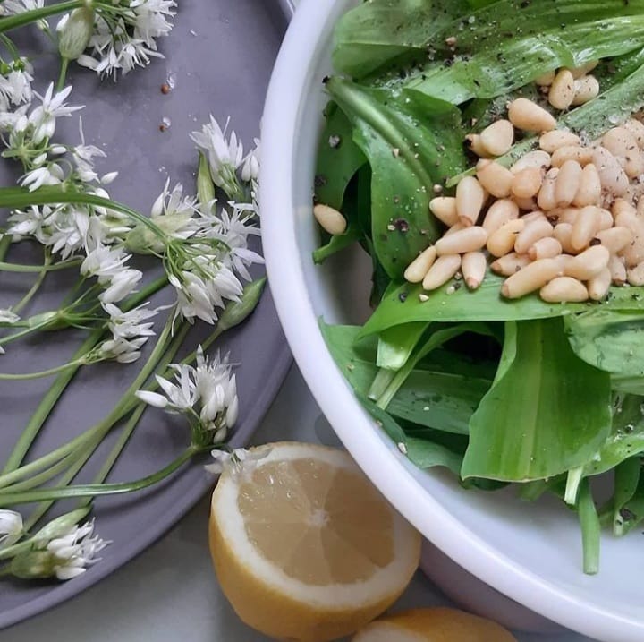 socorrocicuk's tweet photo. Recipe – Wild Garlic Pesto
Wild Garlic Leaves 120g
Pine Nuts 100g
Lemon Juice 1-2 lemons
Olive Oil 5-6tbs
Salt &amp; Pepper
Blend all together
#ramson #wildgarlic #pesto  #sococorrocicuk #garlic https://t.co/a4B30YCqqU