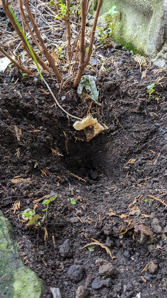 Kyle Banks tweet media