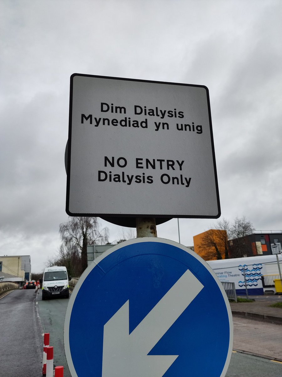 Lloyd Bingham - Capital Translations tweet media