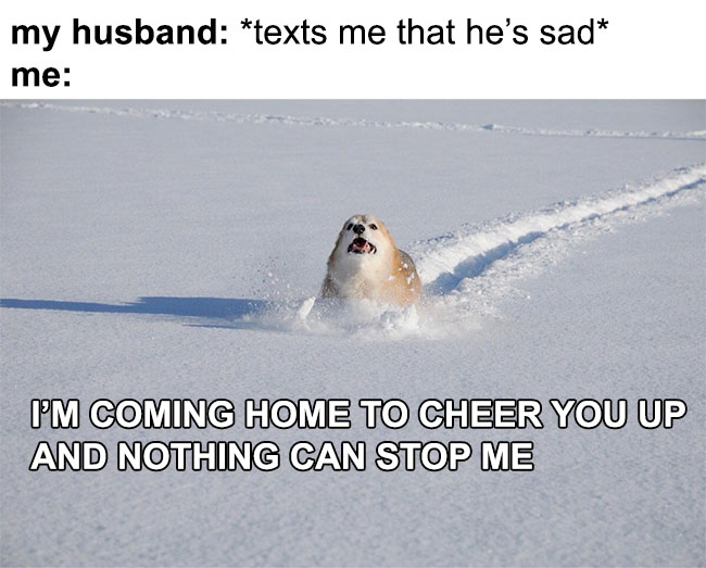 WholesomeMeme's tweet photo. https://t.co/luwRyOvi8v