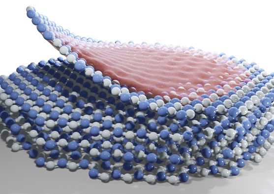 TechnologyOrg's tweet photo. New simulation reveals secrets of exotic form of #Electrons called polarons - https://t.co/uuqlP6DidA #Nanomaterials #Nanotechnology #Polaron https://t.co/A2qQXxh8GF