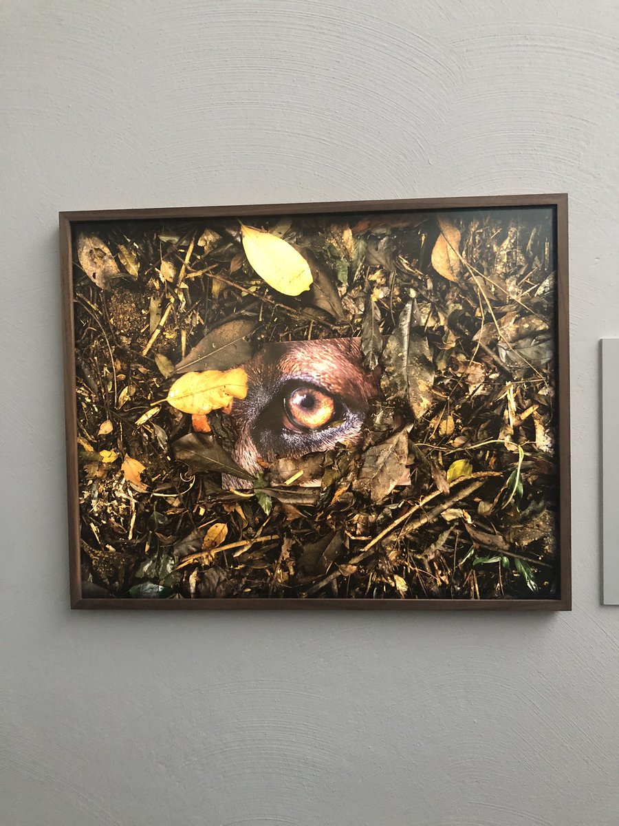 Kulttuurielamaa's tweet photo. ”Daniel Steegmann Mangrané herättelee kyseenalaistamaan tapoja, joilla olemme tottuneet katsomaan maailmaa”. Kiasmassa avautui tänään uusi näyttely – käykää katsomassa ja kokemassa kaikilla aisteilla 🤩 @KiasmaMuseum  #Taide #kulttuuri #luonto #Helsinki #aistit https://t.co/WEsCNtSk9Y