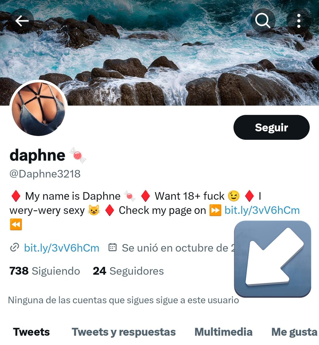 Cansado de que desde que llegué a Japón no dejan de aparecerme solicitudes de "chicas" y reciba likes y seguimiento de completas desconocidas tanto aquí como por Insta