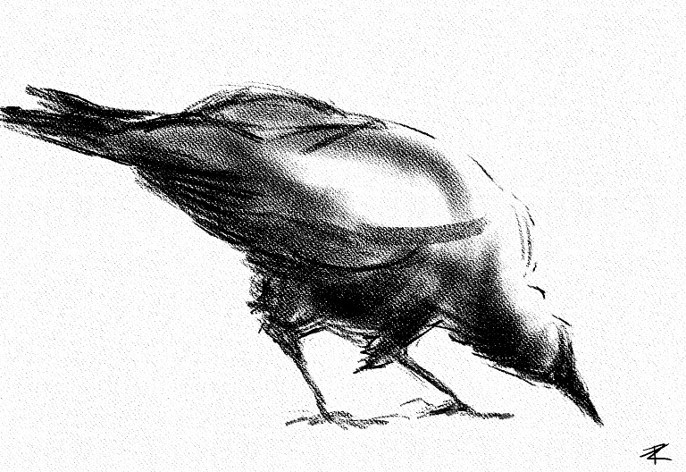 who loved you more - Hitchcock or Ted Hughes?