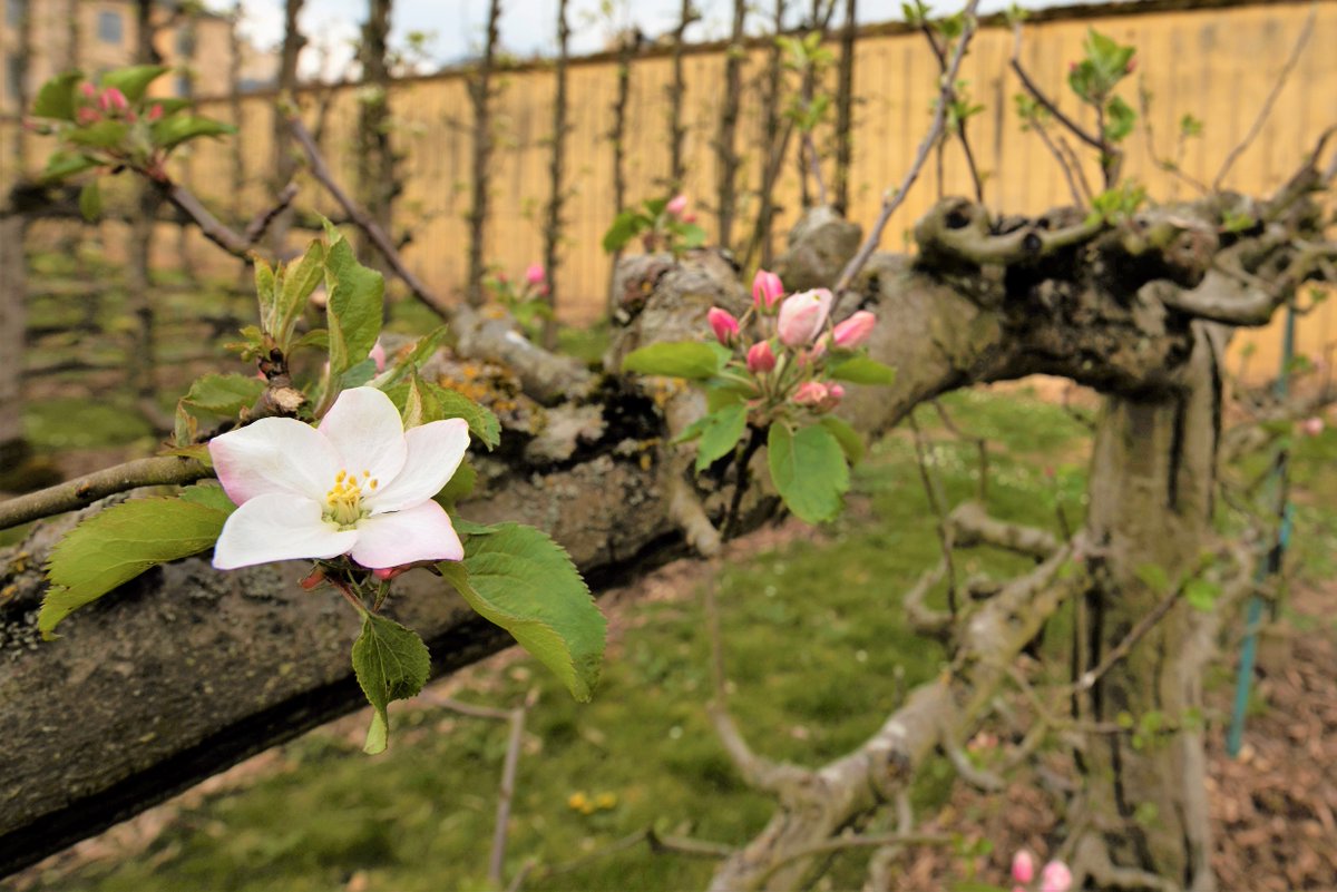 École nationale supérieure de paysage tweet media
