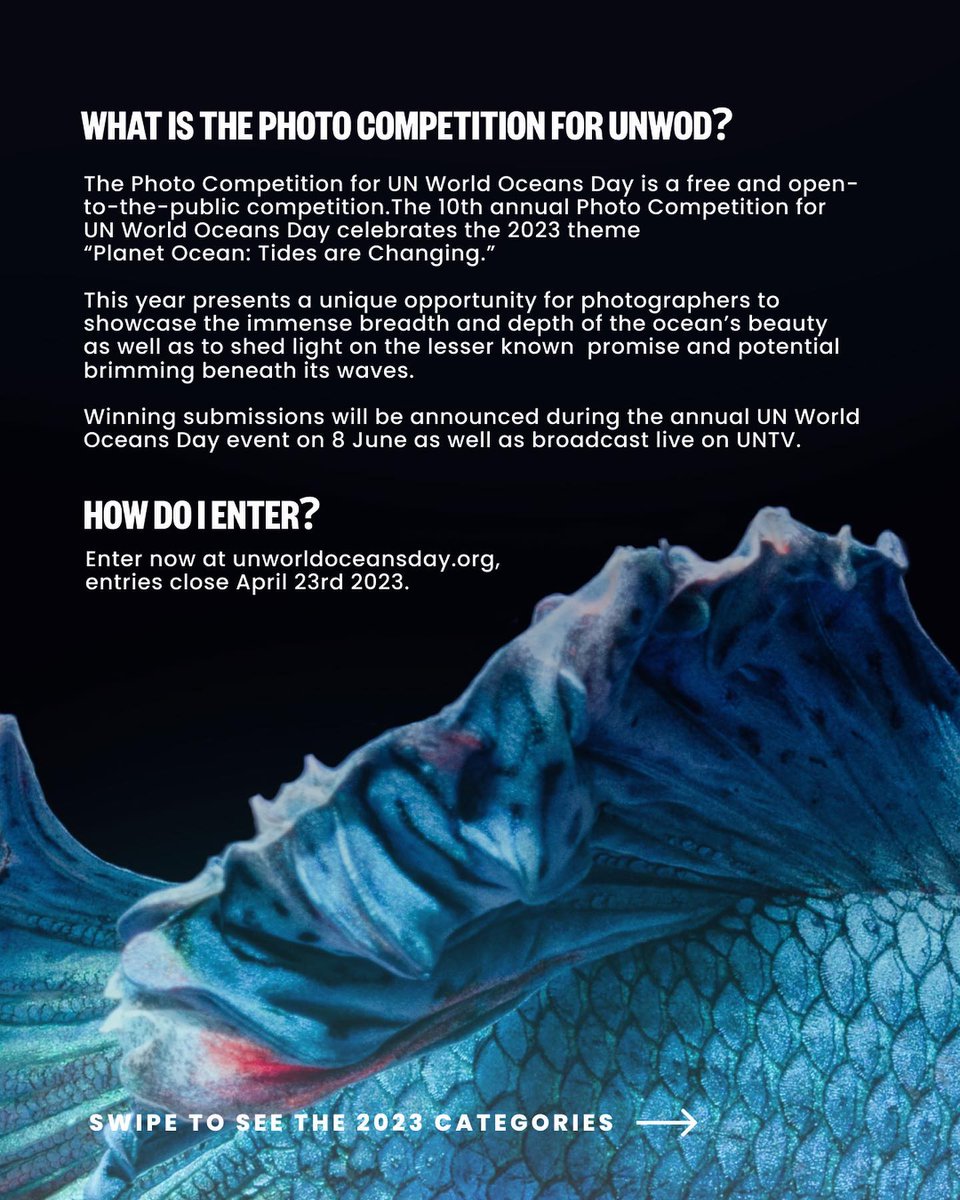 IocUnesco's tweet photo. 🎉 We are pleased to announce that submissions for the 10th annual Photo Competition for #UNWorldOceansDay are now open until April 23, 2023!⁠ 🎉

Winners will be announced on stage during the UN World Oceans Day event on June 8th.

More information 👉 https://t.co/RbzhGZymoQ https://t.co/PH85X4BtXQ