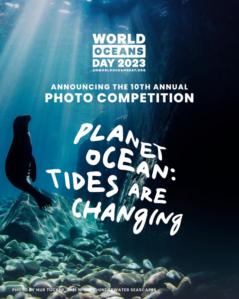 IocUnesco's tweet photo. 🎉 We are pleased to announce that submissions for the 10th annual Photo Competition for #UNWorldOceansDay are now open until April 23, 2023!⁠ 🎉

Winners will be announced on stage during the UN World Oceans Day event on June 8th.

More information 👉 https://t.co/RbzhGZymoQ https://t.co/PH85X4BtXQ