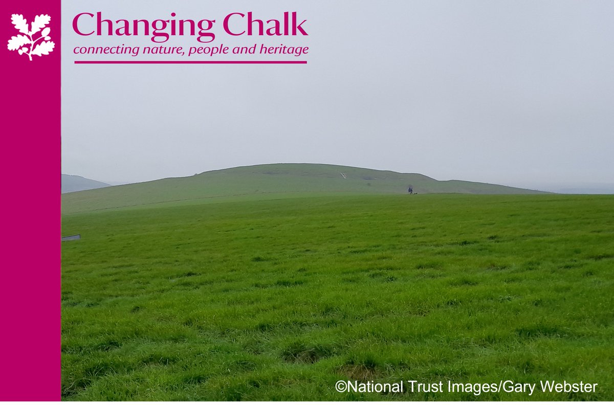 Calling all archaeology enthusiasts. Join us for our Monument Mentors walk on 5 April on Caburn Hill near Lewes.  

To take part please contact gary.webster@nationaltrust.org.uk 

Read more about Monument Mentors here: bit.ly/40KyBoG