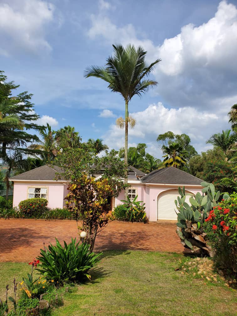 Ozelle_Kayom's tweet photo. “Kayom i need a stand alone Air BnB in Jinja with a pool by the River”

Kati yino . https://t.co/j1gWDHKE95
