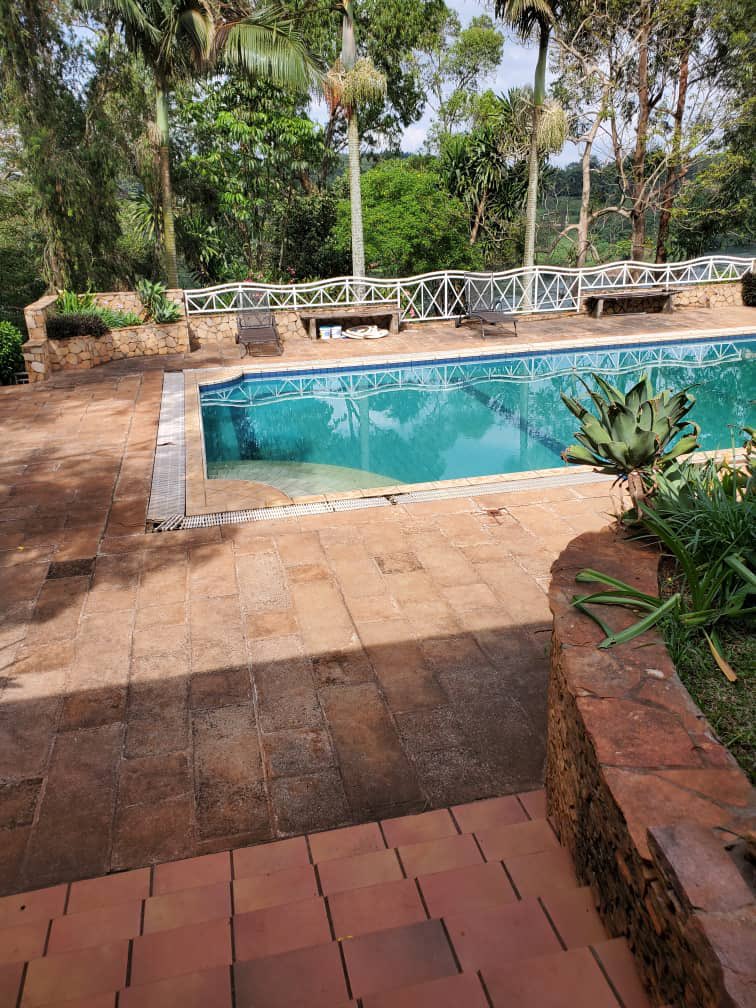 Ozelle_Kayom's tweet photo. “Kayom i need a stand alone Air BnB in Jinja with a pool by the River”

Kati yino . https://t.co/j1gWDHKE95