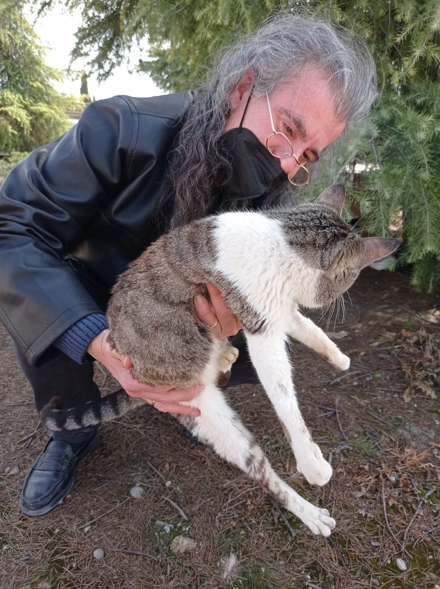 minervathisway's tweet photo. Tras 10 años cuidando una colonia de gatos en Jaén, mi padre se está encontrando con problemas económicos por primera vez. En las imágenes encontraréis todos los detalles de la situación. Ninguna ayuda es poca y cada euro cuenta: https://t.co/Tvbtb4enfU https://t.co/bVIBHdO87U