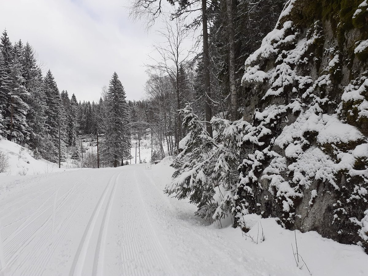 Meteorologene tweet media