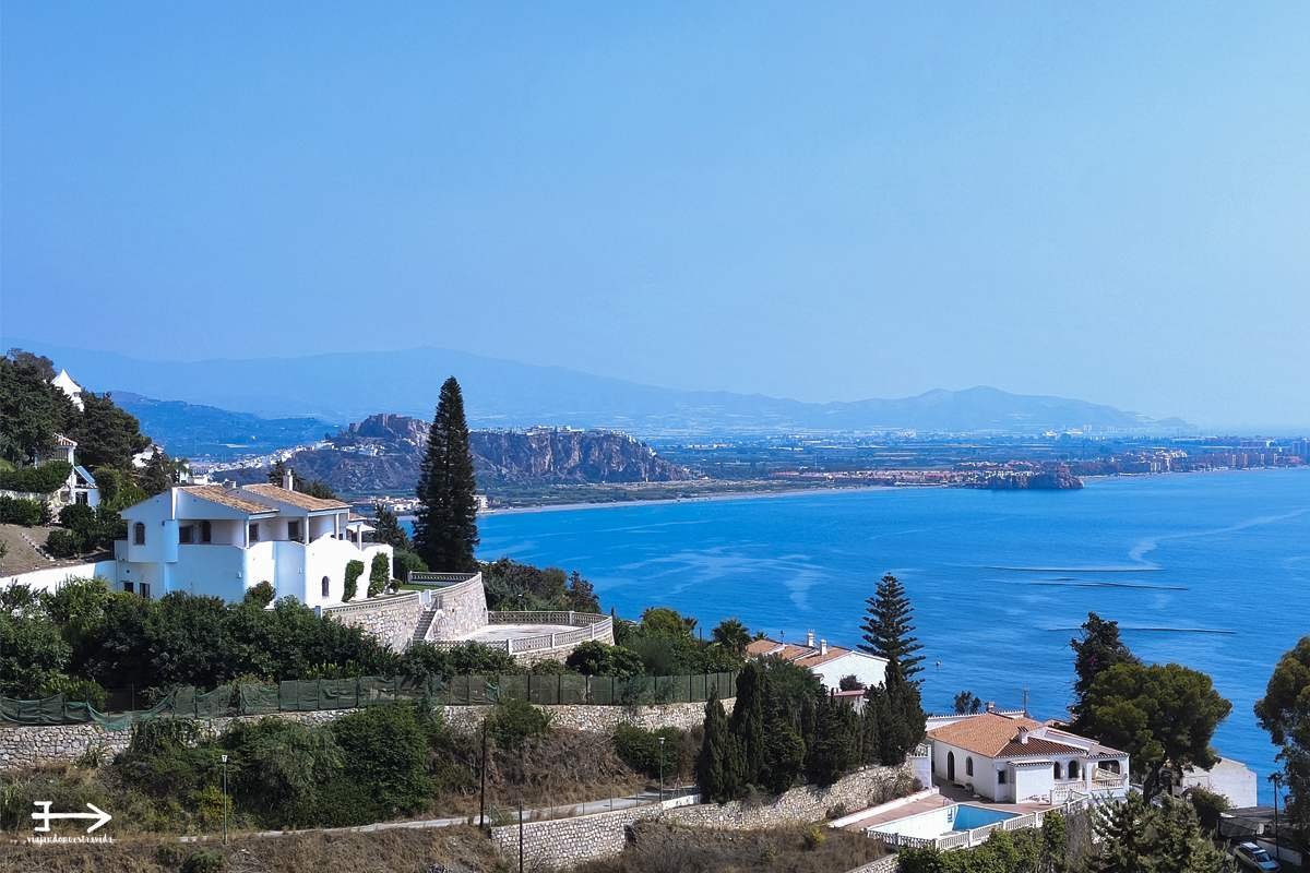 Vive Andalucía tweet media