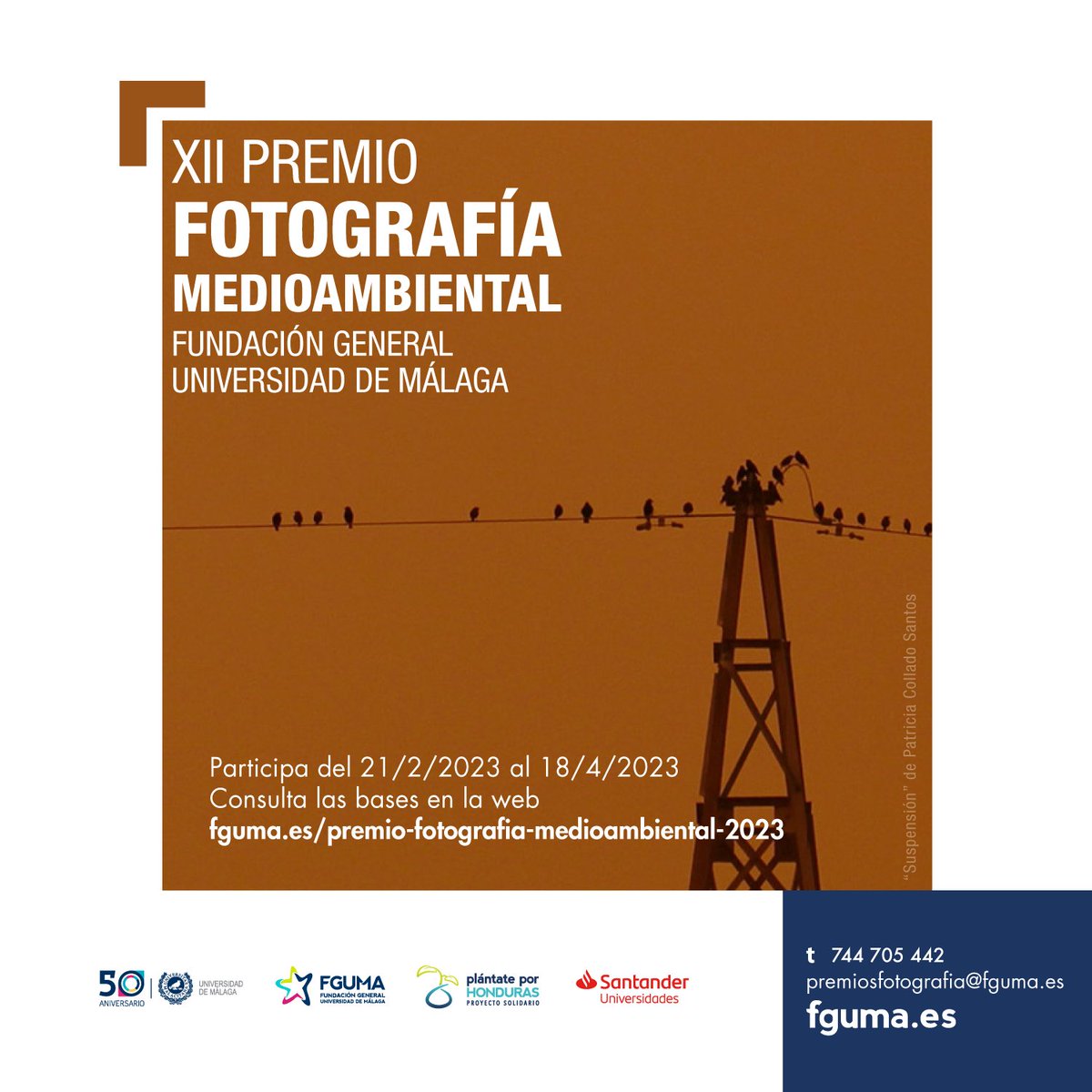 fguma's tweet photo. 📷 XII Premio de Fotografía Medioambiental 🌳

🎞️ Te invitamos a participar enviando una  imagen de espacios o elementos naturales. 

📆 ¡Tienes hasta el día 18 de abril! 

🏆 1º premio. 600 euros 
🥈 Accésit. 300 euros
👤 Premio del Público 

➕ℹ️ https://t.co/40dg7DAOPK https://t.co/OfFkQBuraR