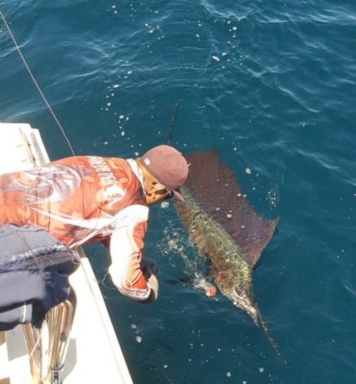 Puerto vallarta fishing charters in Mexico 
travelvallarta.com