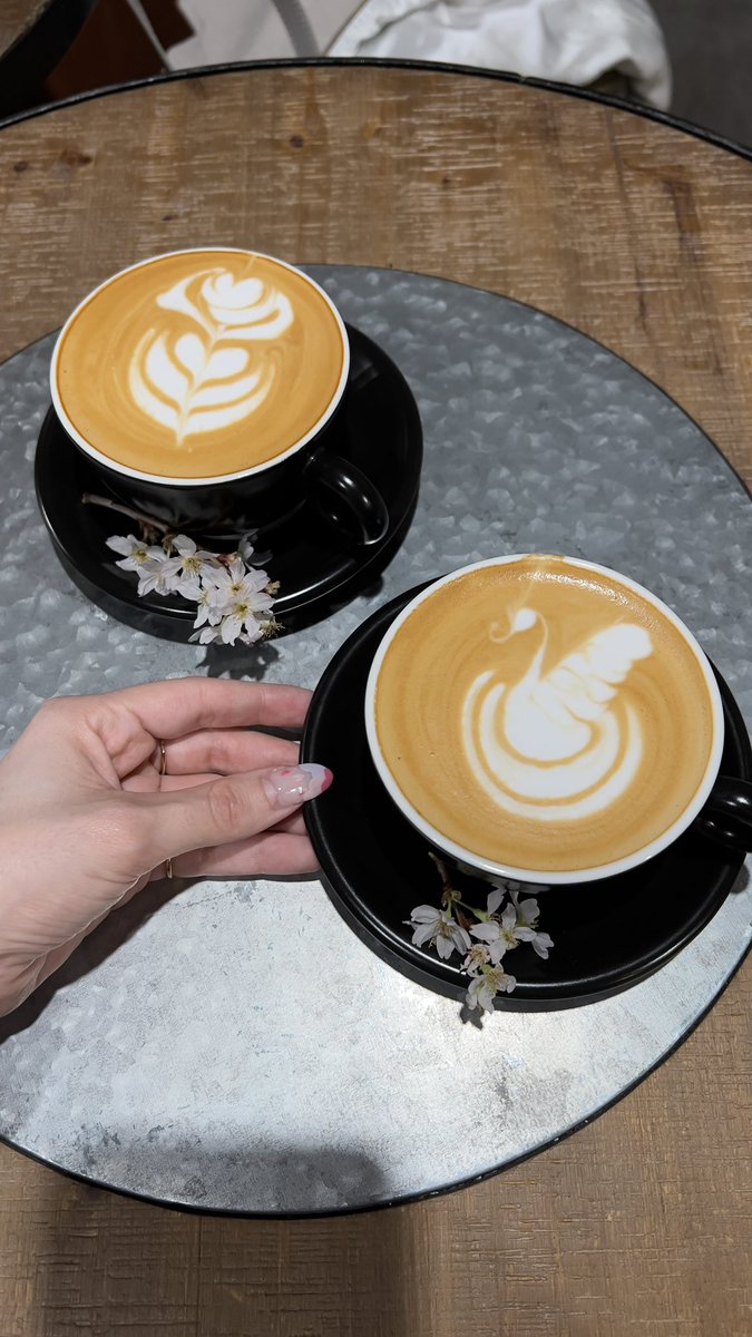 BunnyTokyoJP's tweet photo. Sometimes all I need is a #dogfriendly cafe with bomb food made from scratch and a cup of in-house roasted coffee 🐰✨☕️ Green Beans Cafe in Sendagaya, #Tokyo must be Drogo’s favorite cafe! More here https://t.co/dJu3WyHYXc https://t.co/p9n8UIDzyR