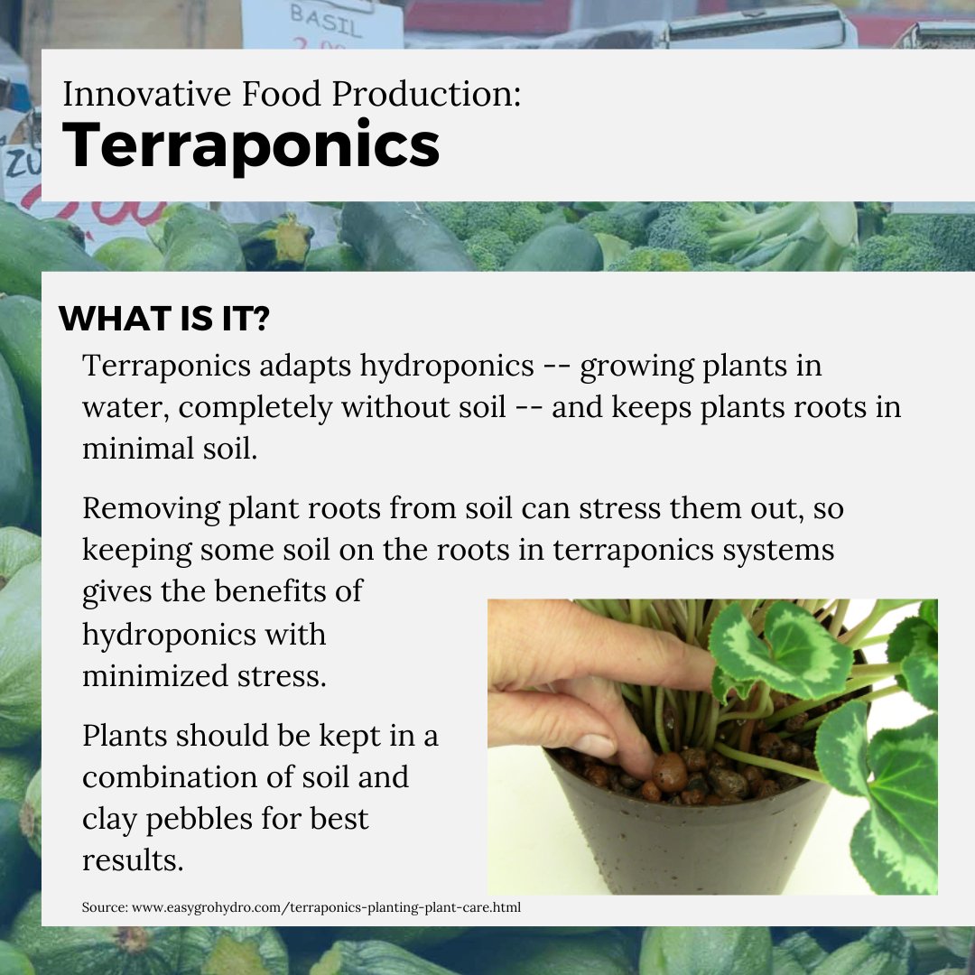 GrowBostonCOB's tweet photo. Today, we have some more innovative food production methods for you! Swipe to learn about more new technologies in the field of urban agriculture
.
.
.
#growboston #urbanagriculture #terraponics #aeroponics #urbanfarming https://t.co/plwzDEIDIk