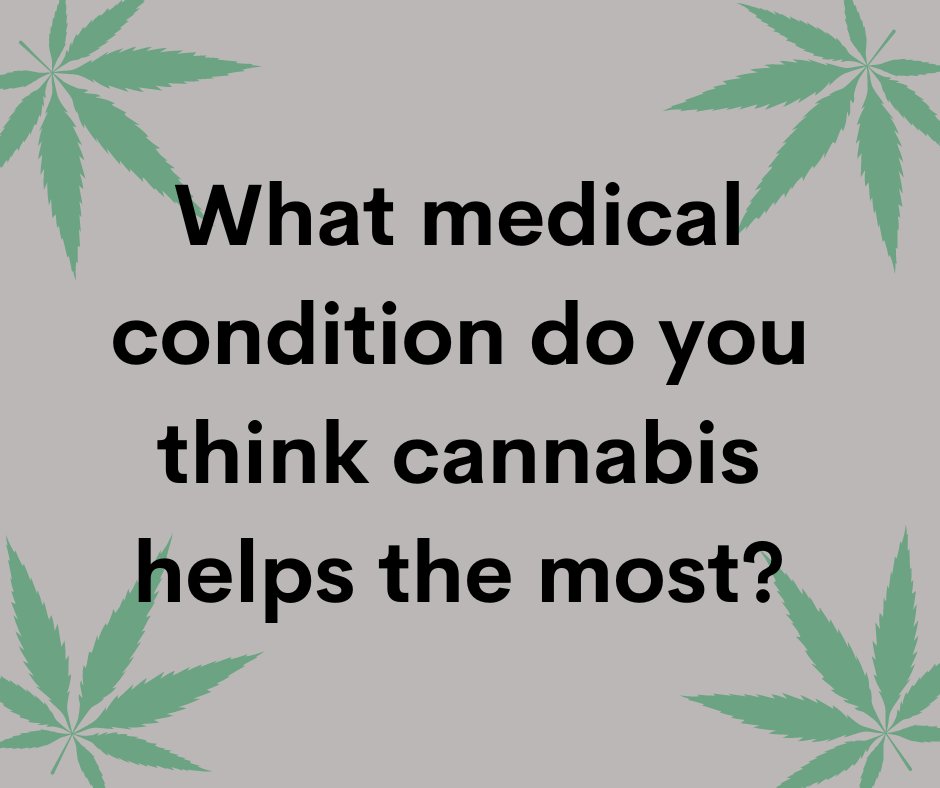Cannabis Training University tweet media