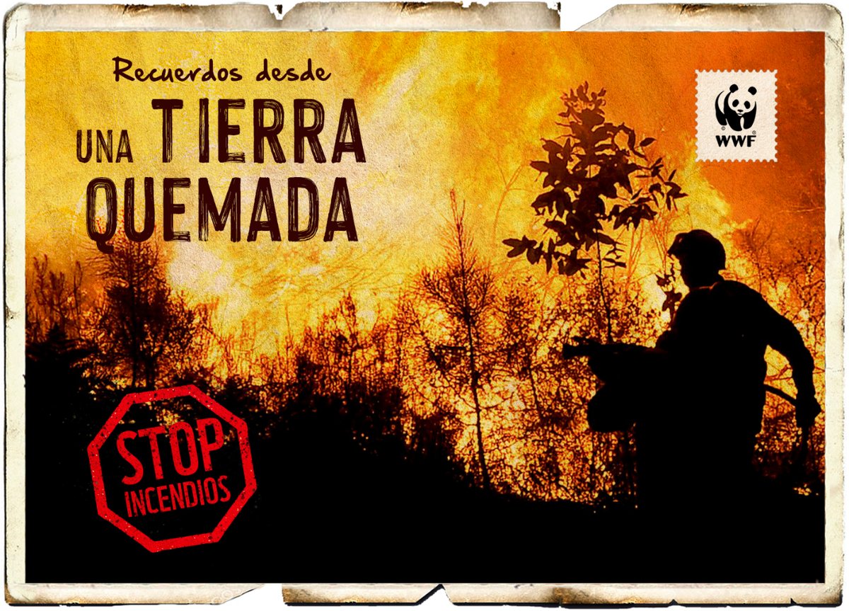 ⚠️El 65% de los 🔥 se producen en el noroeste donde hasta el 70% son intencionados. 
👉Urge impulsar políticas de prevención y gestión, medidas sociales que faciliten el diálogo y la resolución de conflictos y perseguir el delito

Ayúdanos con tu firma ✍️
bit.ly/3KjKeNJ