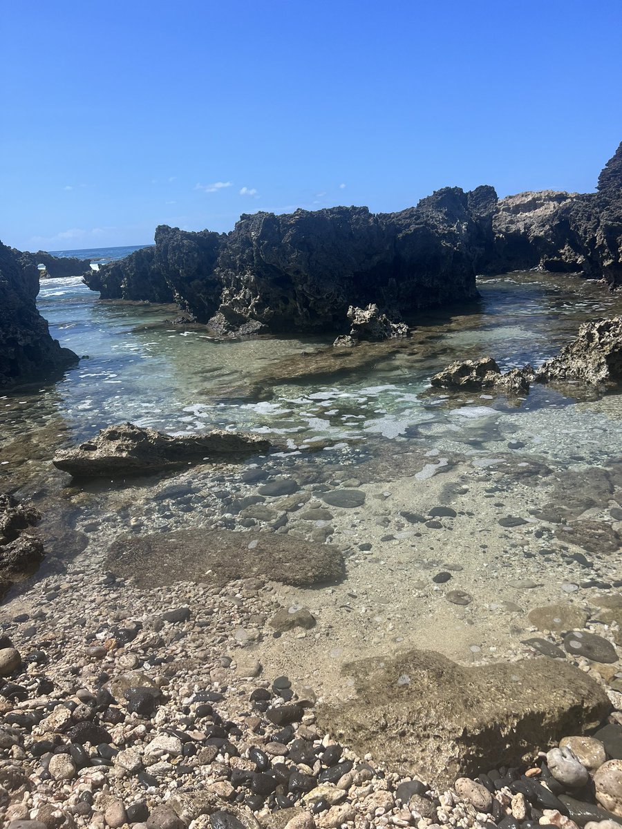 ivanboy26's tweet image. Island living for the next four years 🏝️