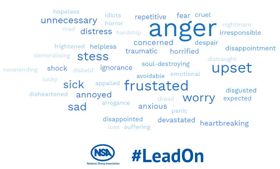 natsheep's tweet photo. Incidents of sheep worrying take an emotional toll on farmers💭
Farmers reported feelings of anger, upset, anxiety and stress.
This year comments like ‘becoming the norm’ and ‘expected’ demonstrate that #SWBD is becoming so frequent, farmers are expecting it to happen!
#LeadOn https://t.co/aFlFmBi9sN