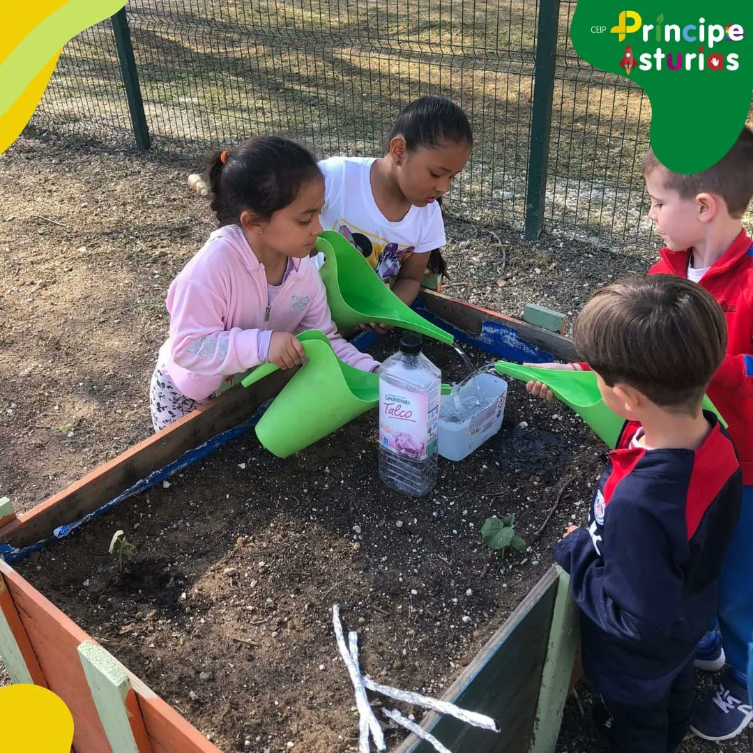 CeipPríncipeAsturias tweet media