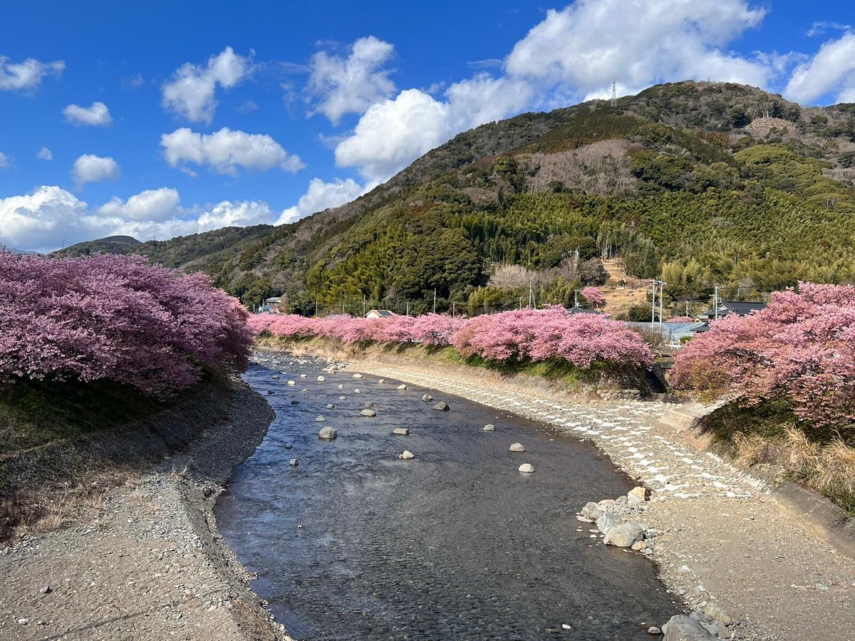 Vialala_FR's tweet photo. 🌸 Si vous avez envie de découvrir le Japon autrement, contactez Emilie, travel planner, qui habite Tokyo🏯 pour un voyage 100% sur mesure en immersion totale dans la culture japonaise 👇https://t.co/sFcvqxnEWz 
#japon #voyage #travelplanner #vacances https://t.co/IoI4hrCcDI