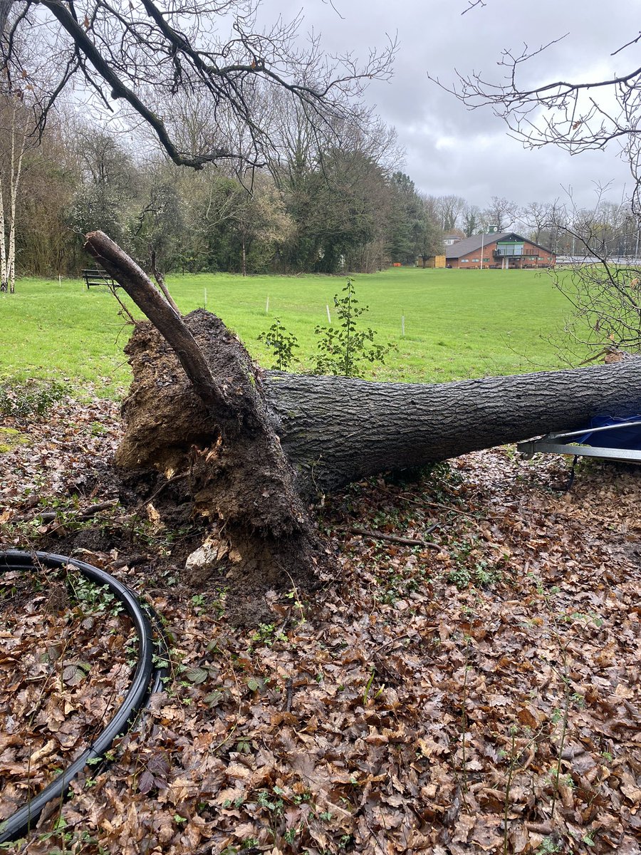 GroundsmanChris's tweet photo. How’s your Friday going? 

And people wonder why we are sometimes referred to as grumpy in this profession 😤🌧️🌧️ https://t.co/RR7I044pzH