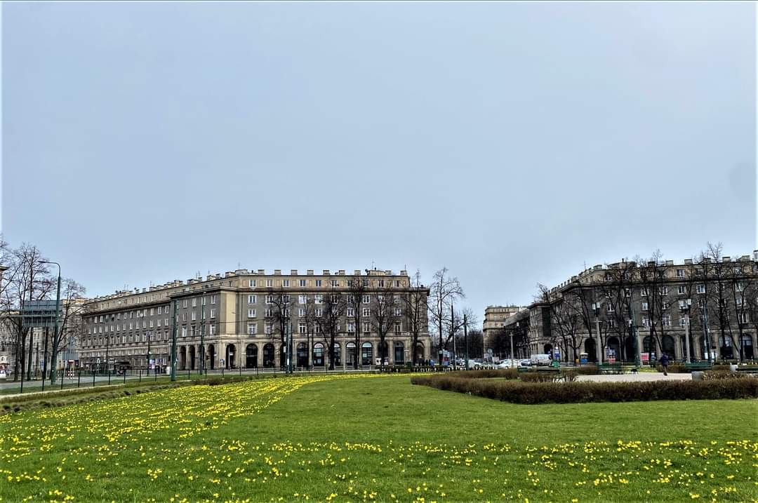 ZZMKrakow's tweet photo. Żonkile na #Placu #Cetralnym w @krakow_pl 💛💛💛

#krakow #zzm #NowaHuta https://t.co/2ORksBOwDt