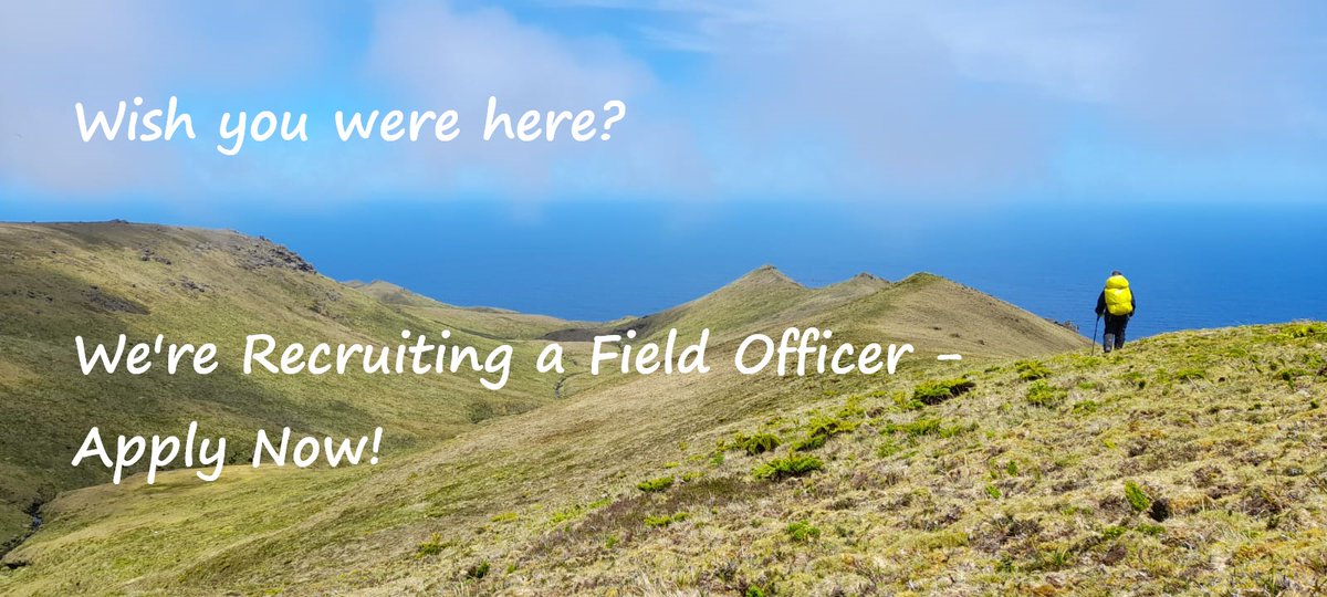 GoughIsland's tweet photo. CONSERVATION JOB ALERT!  🌍💚
Want to live &amp; work on Gough Island for a year? Here’s your chance! We’re recruiting for a Field Officer to join our Field Team Leader &amp; the SANAP overwintering team 23/24! All details here: https://t.co/TwKNlEekRG or https://t.co/kzuG8JUkEV https://t.co/OuJCS1N1SO