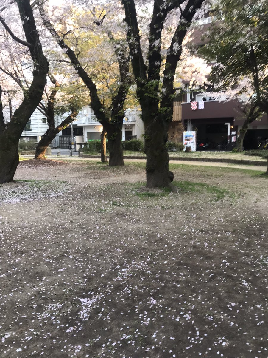 magurogu_fun's tweet photo. 無事に生還し、退院できたのでまぐろさんに報告しに行きました。来年はツナさんと来よう。 https://t.co/NSJeWpmxQw