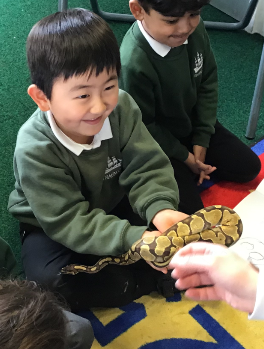 TrafalgarInfant's tweet photo. Year 1 had three special visitors this week. We have been learning about reptiles in our science topic this term and Mr Mancini very kindly brought his snake, Sydney and two sleepy tortoises to school. 
We had the opportunity to ask lots of questions and even hold them! https://t.co/aj5onA1rE7