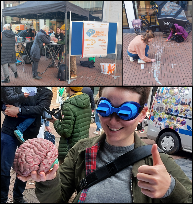 During #BrainAwarenessWeek we had a great time at the Brain Market organized by @hersenolympiade Nijmegen team 

Big thanks to everyone coming by and giving us lots of new questions to answer on our website! (brainhelpdesk.ru.nl)

#baw2023 #neuroscience #outreach #SciComm