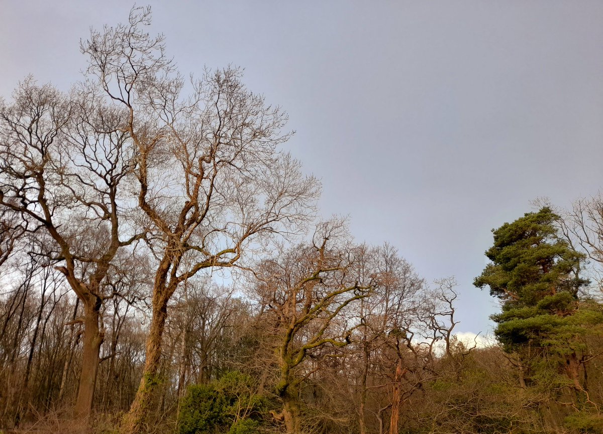 OdetteDewhurst's tweet photo. Everything is hectic and stressful at the mo - which makes heading outside and squidging through mud, and getting buffeted by the breeze, even more important.
#HappyPlace #VeryMuddy https://t.co/6bMtDwVqB0