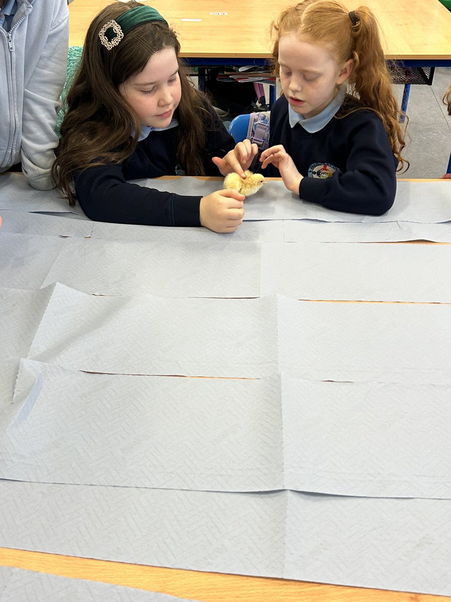 Faughart Community National School tweet media