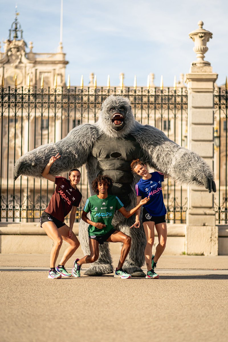 📣 Aquí tenéis las #camisetas oficiales que os acompañarán en vuestro reto #RNRMadrid el próximo 23 de abril 😍

Fabricadas con materiales 100% reciclados gracias a la tecnología de @adidas_es 💪🏻

Esperamos que os gusten tanto como a nosotr@s! ❤️

#Maraton #MediaMaraton #10k