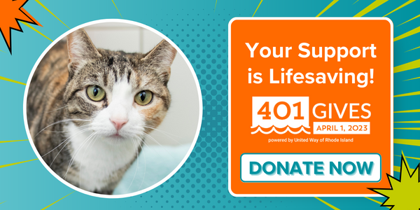 Potter League for Animals tweet media