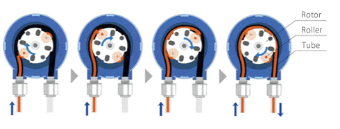 OEM-Schlauchpumpe WPM2 · PeriPump