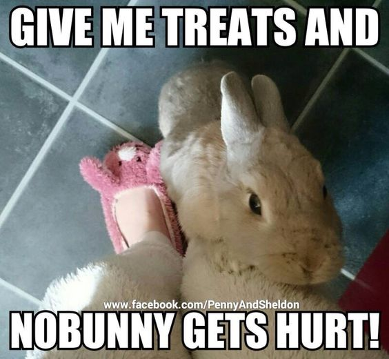 ‍ ‍ 𝓤𝐒𝐀𝐆𝐈 ‍ ‍ ‍ 🎀 ‍ ‍ ‍ 𝑻𝑺𝑼𝑲𝑰𝑵𝑶 ‍ ‍ (@nombredelaluna) on Twitter photo 