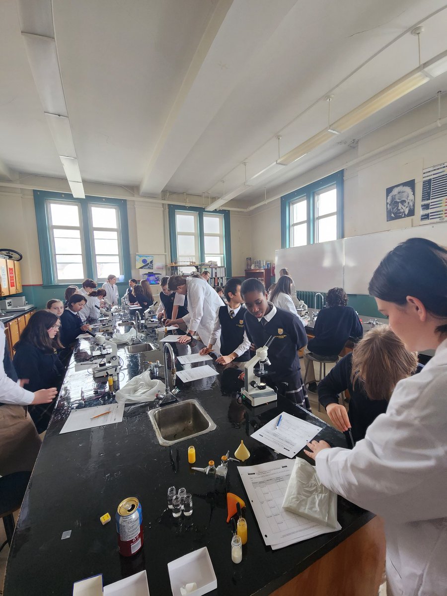 Biology 3201 students are amazing teaching assistants! They shared their microscope skills with the Grade 7 class to help with the identification of mixtures on a microscopic level. So proud of their leadership skills!