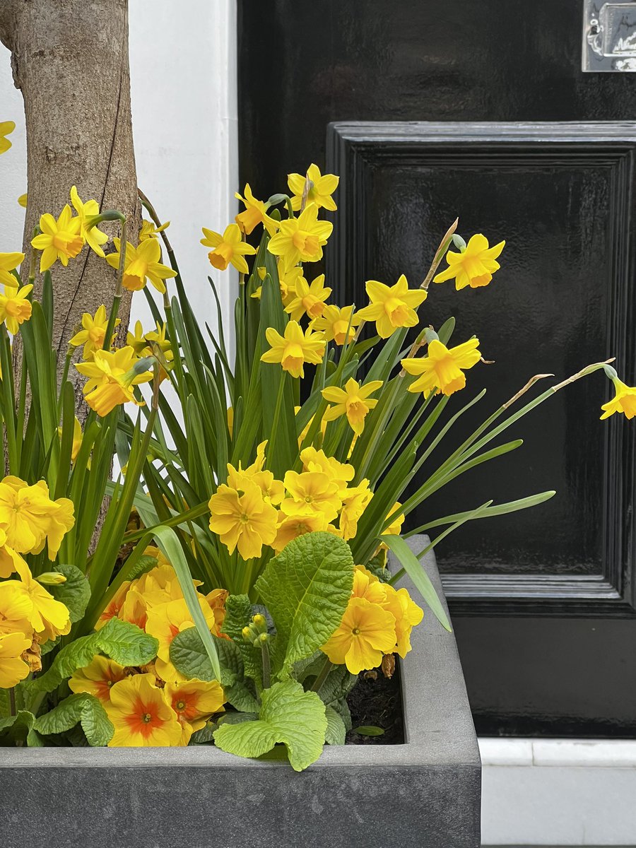 Anshul Raja tweet media