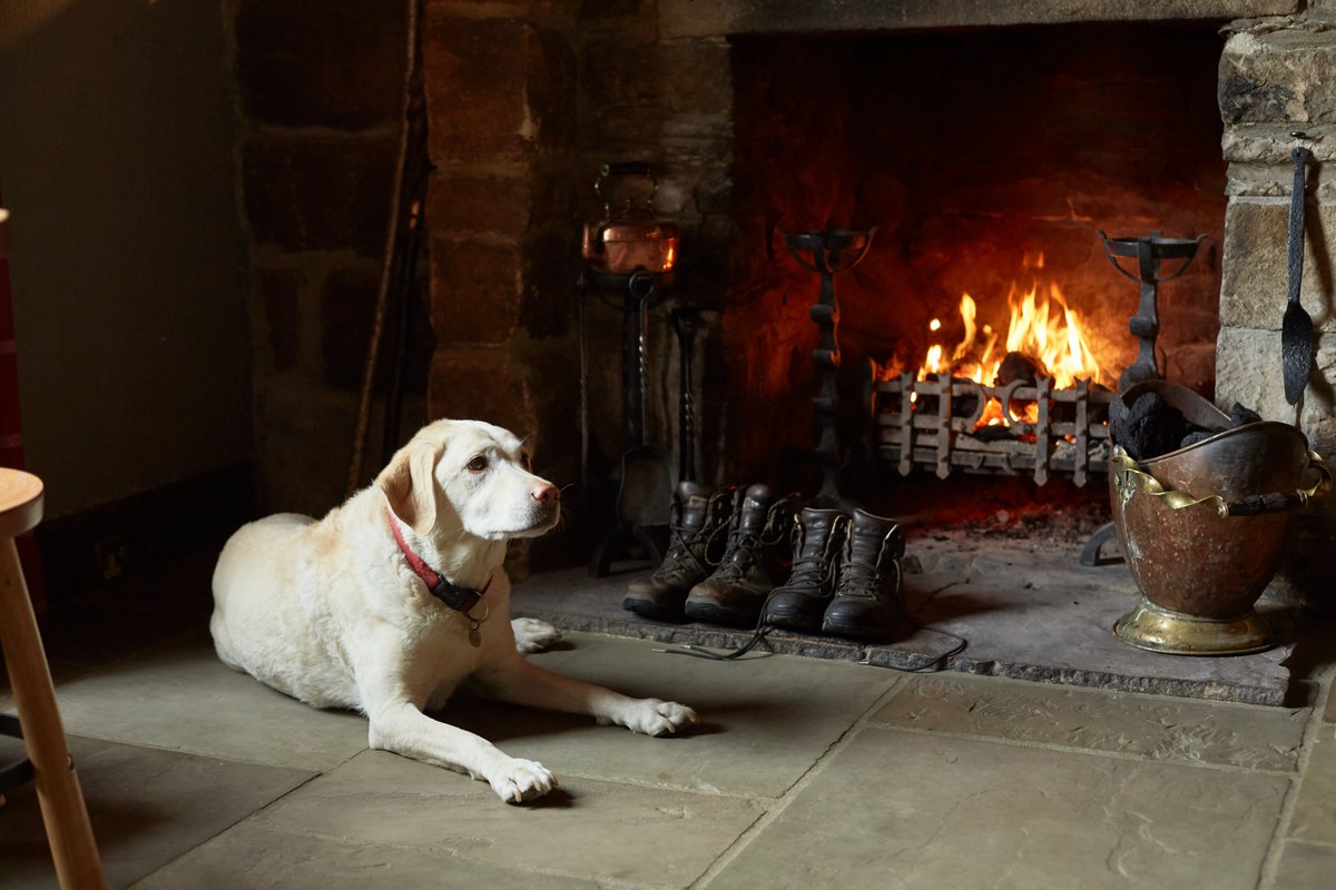 ThisisDurham's tweet image. The Rose &amp;amp; Crown at Romaldkirk has been named by @thetimes as one of the UK's best hotels to book this spring! 

This dog-friendly historic country inn is great for walkers bit.ly/TiDRandC #lovedurham #durhamdales #springbreaks