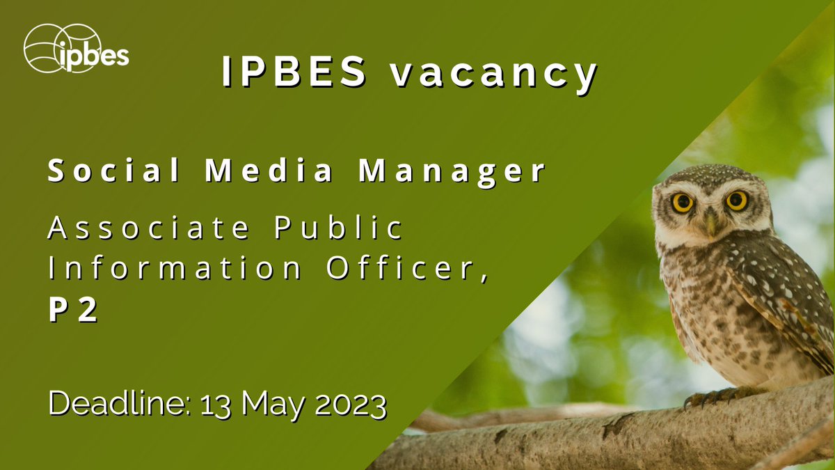 📣WE ARE HIRING! 🌿Do you love #biodiversity & want to communicate science #ForNature? 💻Do you have professional experience managing #SocialMedia? 🐦This opportunity is for you! Apply by MAY 13 ⬇️ careers.un.org/lbw/jobdetail.… #CommsJobs