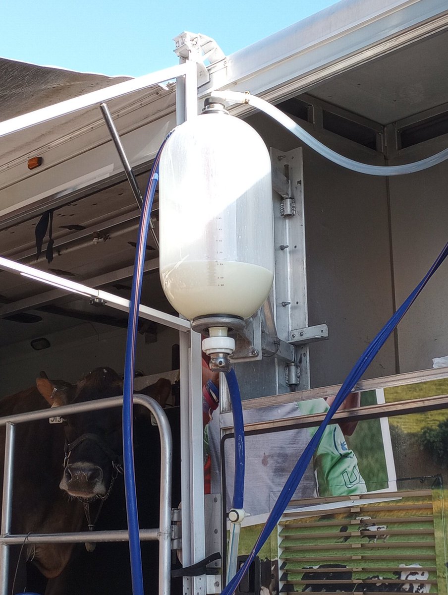 Kindergarten loved the Mobile Dairy visit and meeting Miss Clover 🐄
<a href="/SharonNokovich/">Sharon Nokovich</a>