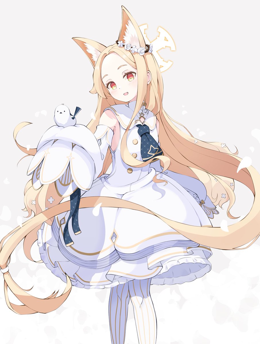 1girl white bird bird animal ears halo dress solo  illustration images