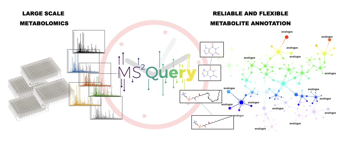 vdHooft_CompMet's tweet photo. Excited to share the #MS2Query publication in 
@NatureComms!😎We are very proud of #NiekdeJonge and the entire #team! #MS2Query enables #MachineLearning based #computational #metabolomics #massspectrometry #metabolite #annotation! Read our thread &amp; paper: https://t.co/ITkZYWugcN https://t.co/MfoPSgUdFn