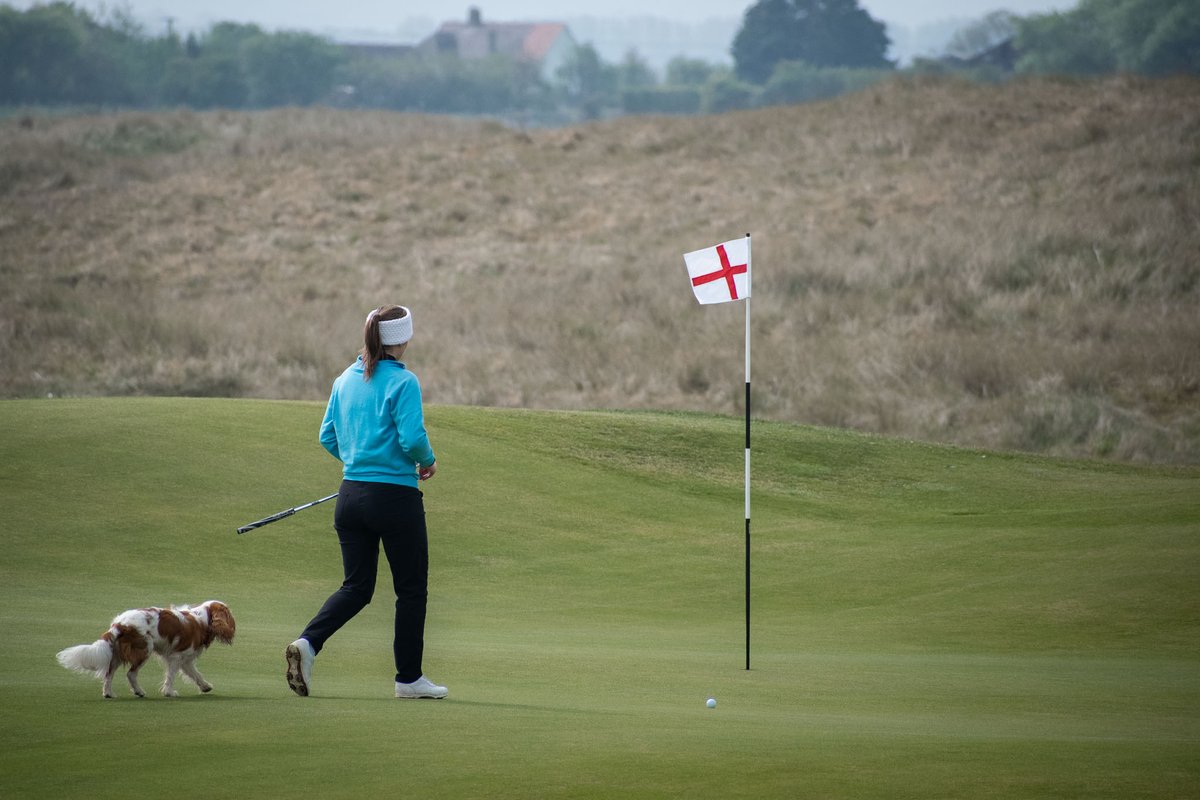 Cookie Jar Golf tweet media